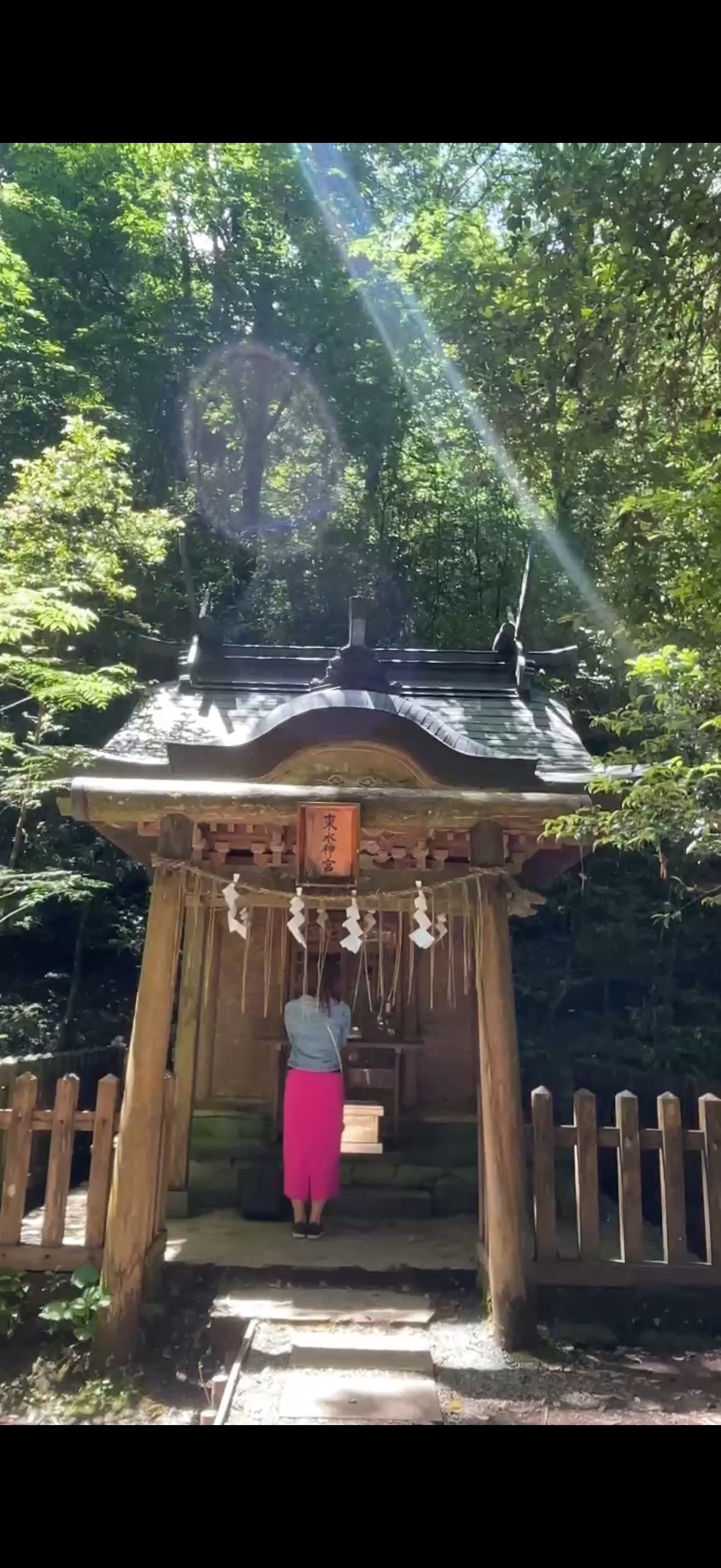 藤倉 あかね